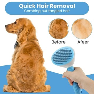 Lược chải, Bàn chải lông chó mèo có NÚT BẤM - CHÍNH HÃNG TAOTAO PET chải lông chó mèo sạch sẽ Pet Kool