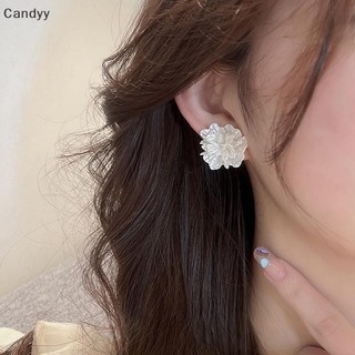 Ndy 1 Cặp Mori Phong Cách Ice Crack Bông Tai Hoa Hợp Thời Trang Niche Tính Khí Bông Tai Thời Trang Thanh Lịch Cho Nữ Cô Gái Ngọt Ngào Dễ Thương Trang Sức N