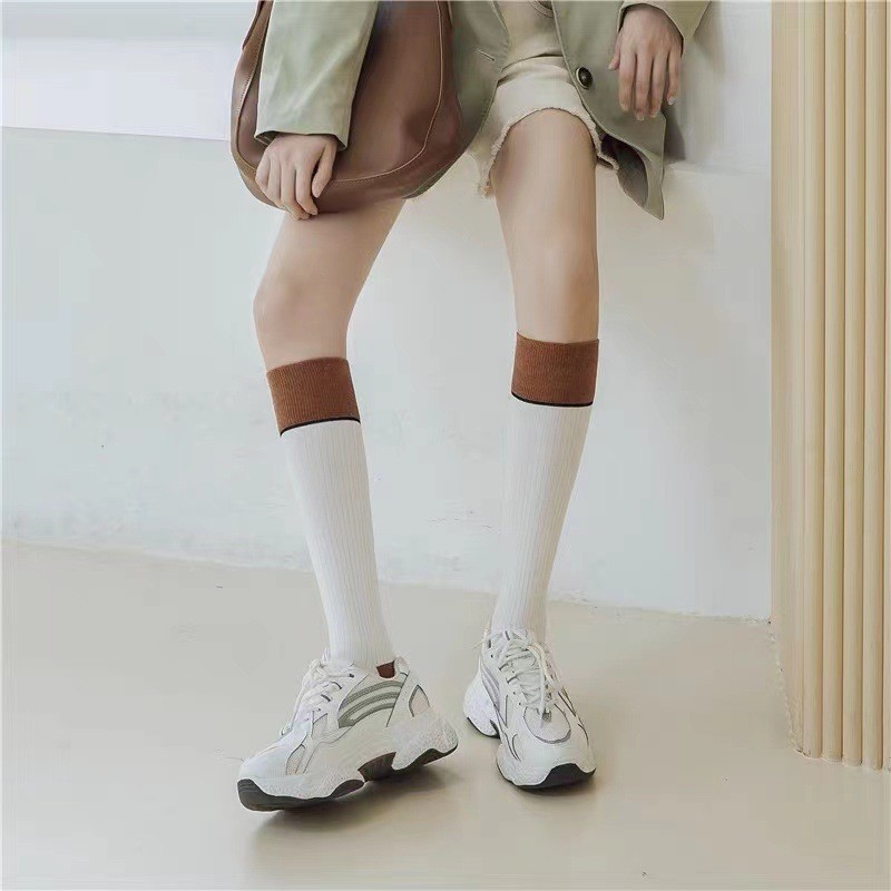 Tất ống cao nữ kiểu dáng cổ điển mỏng mùa xuân thu phong cách Hàn Quốc