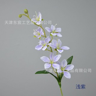 Cành hoa địa lan xinh xắn cao 70 cm,