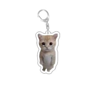 Rambling dê huh mèo Meme Keychain nhầm lẫn mèo memes mèo la hét với bàn chân trên đầu của nó món quà dễ