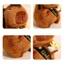 Búp bê tốt nghiệp FAVORITEGOODS, Búp bê gấu ngồi sang trọng 25cm, Gấu Capybara nhồi bông dễ thương Dr. Tốt nghiệp gấu