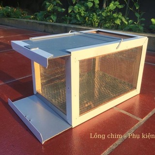 Hộp đựng cào cào cho chim hộp đựng dế cào cào tiện lợi size nhỡ
