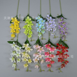 Cành hoa địa lan xinh xắn cao 70 cm,