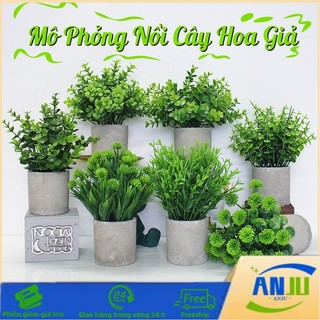 Cây Giả Trang Trí Kèm Chậu Để Bàn Cây Nhân Tạo Decor Phòng Ngủ Bàn Làm Việc Phụ Kiện Chụp Ảnh