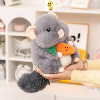 PLUS✨Chất lượng cao✨Dễ Thương Chinchilla Sang Trọng Đồ Chơi Vui Nhộn Chinchillas Ôm Hạt Dưa Cà Rốt Búp Bê Sang Trọng Trao Đổi Đồ Chơi Quà Tặng Trẻ Em Quà Tặng Sinh Nhật Cặp Đôi