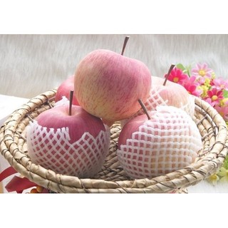 [Tỷ lệ mua lại 45%] Mô hình trái cây giả mới, đạo cụ quả lê, xoài, dứa, chuối, xiên trang trí nhà bếp