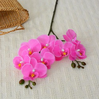 Cành hoa lan cao su 2 nhánh 8 bông xinh xắn có nụ cao 65 cm