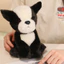 Mô Phỏng Con Chó Con Sang Trọng Đồ Chơi Kawaii Chó Teddy Husky Búp Bê Mềm Đầy Chó Con Búp Bê Phòng Ngủ Gối Gấu Bông Búp Bê Trang Trí Máy Tính Để Bàn Trang Trí Nhà Cửa Búp Bê Trẻ Em Quà Tặng Sinh Nhật