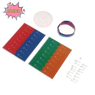 Pnpia Gen Con Người Mô Hình DNA Xoắn Đôi Đồ Chơi Khoa Học Giảng Dạy Học Giáo Dục Đồ Chơi Boutique