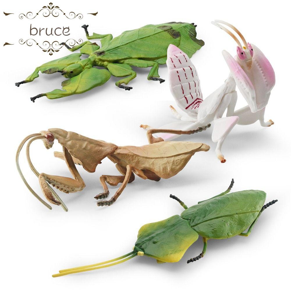 BRUCE Mantis Figurine, Côn trùng mô phỏng giáo dục thu nhỏ, Đồ chơi ...