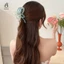 Kẹp Tóc Màu Gradient dành cho Nữ Hairgrips Acrylic Vuốt Tóc Kẹp Tóc Phụ Kiện Tóc Thanh Lịch Bé Gái Mũ Mới