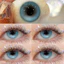 （-0°-8.00°）🌈ZM 🌈/Set 2 Kính Áp Tròng Màu tím/đen/xám thời trang contact lens hợp lệ 6 tháng YX111