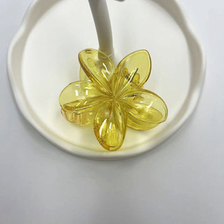 Frangipani Vuốt Tóc Barrettes Tính Khí Đa Năng Phụ Kiện Tóc Mũ Đội Đầu
