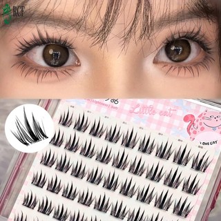 10-14mm Bấm vào cụm mi C Curl Cụm mi dán sẵn Thích hợp để trang điểm tại nhà