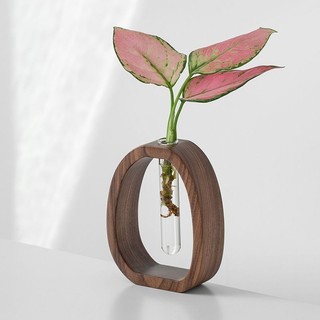 Mandyhome Walnut Hộ Gia Đình Bình Nhỏ Gỗ Chắc Chắn Thủy Tinh Trong Suốt Thủy Canh Hộp Đựng Hoa Thủy Canh Để Bàn Hoa Sắp Xếp Hoa Hoa Arr