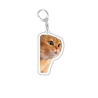 Rambling dê huh mèo Meme Keychain nhầm lẫn mèo memes mèo la hét với bàn chân trên đầu của nó món quà dễ