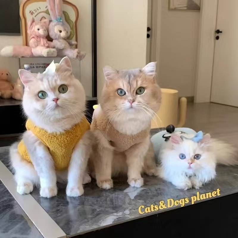 【Ready Stock】 Pet Clothes Dog Small and Medium-Sized Dogs Cat Autumn and Winter Warm Fleece Padded Teddy Bichon Vest Vest Sweater endW