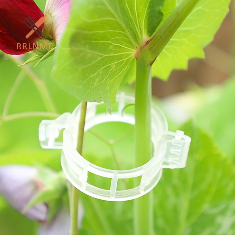 Rrlnmd 100 Chiếc Kẹp Cây Nhựa Cho Cây Leo Cây Trong Suốt Cố Định Kẹp Cà Chua Trellis Kẹp Vật Dụng Kẹp Cố Định Kẹp Vườn MỚI