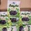 Bột sương sáo Thuận Phát GRASS JELLY đen, trắng gói 50g