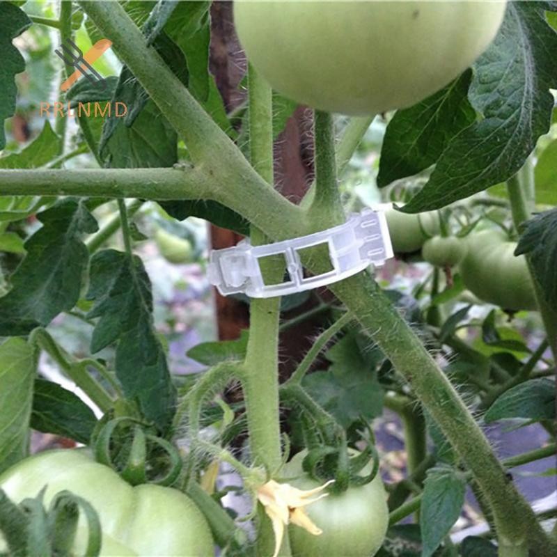 Rrlnmd 100 Chiếc Kẹp Cây Nhựa Cho Cây Leo Cây Trong Suốt Cố Định Kẹp Cà Chua Trellis Kẹp Vật Dụng Kẹp Cố Định Kẹp Vườn MỚI