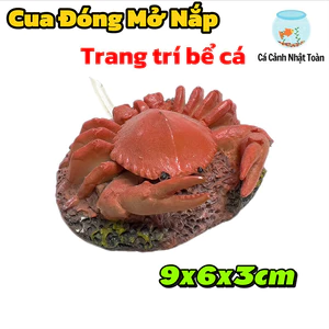 Cua Đóng Mở Nắp Trang Trí Bể Cá Cảnh (9x6x3cm)