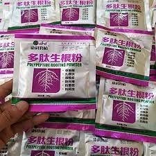 khoẻ đẹp- ( Siêu Kích Rễ GÓI ) Bột kích rễ Trung Quốc Polypeptide ...
