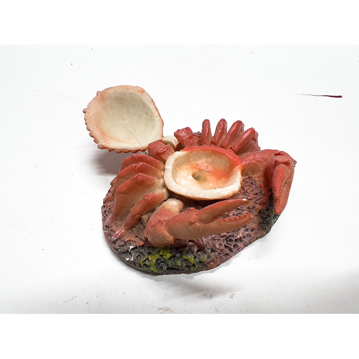 Cua Đóng Mở Nắp Trang Trí Bể Cá Cảnh (9x6x3cm)