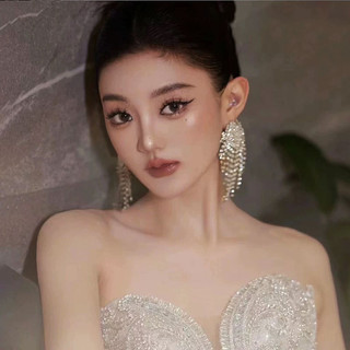 1 Đôi Bông tai tua rua khí chất thời trang, bông tai kim cương lấp lánh phóng đại cho bữa tiệc