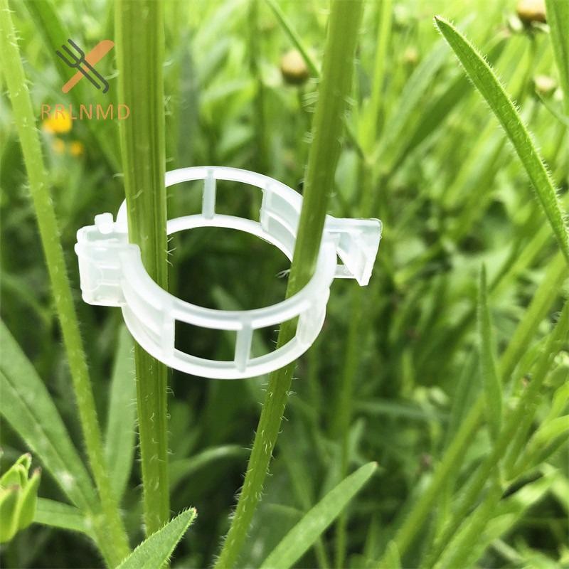 Rrlnmd 100 Chiếc Kẹp Cây Nhựa Cho Cây Leo Cây Trong Suốt Cố Định Kẹp Cà Chua Trellis Kẹp Vật Dụng Kẹp Cố Định Kẹp Vườn MỚI