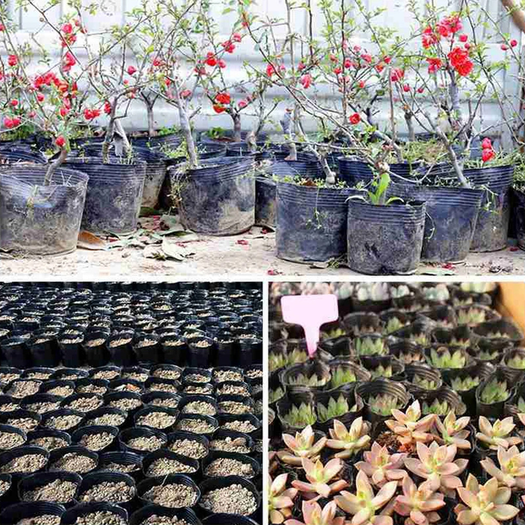 Cốc gieo hạt bằng nhựa dày 50 / 100 CÁI Chậu ươm đa kích thước, 4 kích cỡ Cốc nhân giống thực vật màu đen có lỗ để làm vườn rau
