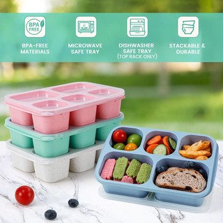 Hộp đựng đồ ăn nhẹ Bento ống hút lúa mì Caperci dành cho người lớn và trẻ em Hộp đựng thực phẩm có thể ăn trưa dành cho người lớn có thể tái sử dụng với 5 ngăn đựng đồ ăn nhẹ và bữa ăn không chứa BPA 4 Gói