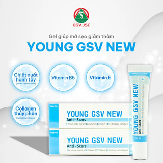 Gel bôi ngoài da Young GSV New Giảm mờ sẹo, đặc biệt giảm thâm hiệu quả | Tuýp 15g