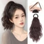 DELMER Đuôi Ngựa Tóc Nối Dài, Tổng Hợp Với Dây Cao Su Xoăn Sóng Lớp Đuôi Ngựa, Phụ Kiện Tóc Giả Tự Nhiên Lông Tơ Tóc Giả Sử Dụng Hàng Ngày