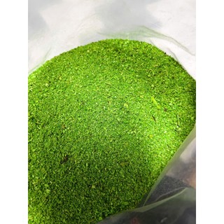 Gói 50gram Bột Rêu Nhân Tạo Trang Trí Tiểu Cảnh, Non Bộ, Bể Cá Cảnh Như Thật