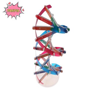 Pnpia Gen Con Người Mô Hình DNA Xoắn Đôi Đồ Chơi Khoa Học Giảng Dạy Học Giáo Dục Đồ Chơi Boutique