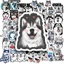 Bộ Hình Dán - 50 Nhãn Dán Hình Chó Husky - Chống Thấm Nước
