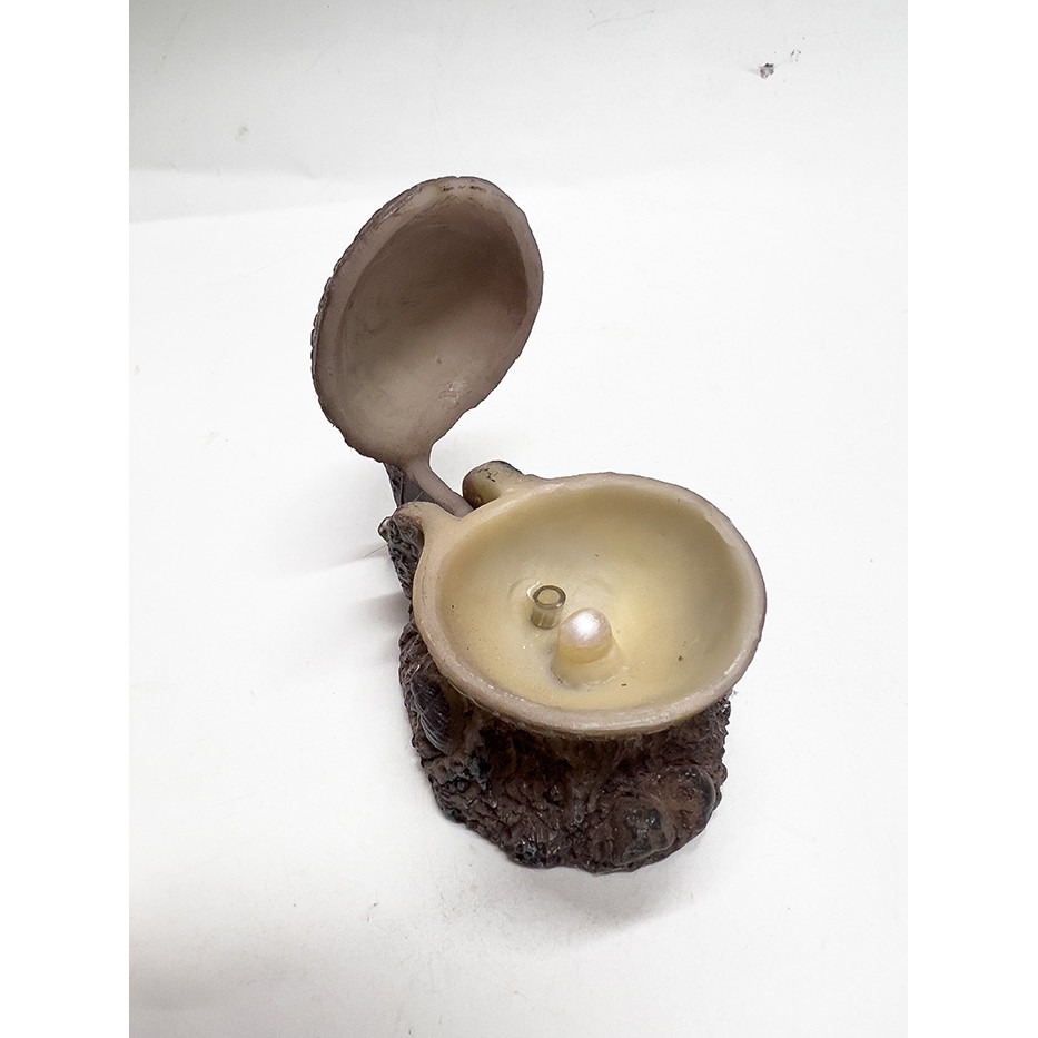 Vỏ Sò Óc Đóng Mở Nắp Trang Trí Bể Cá Cảnh (6x5x5cm)