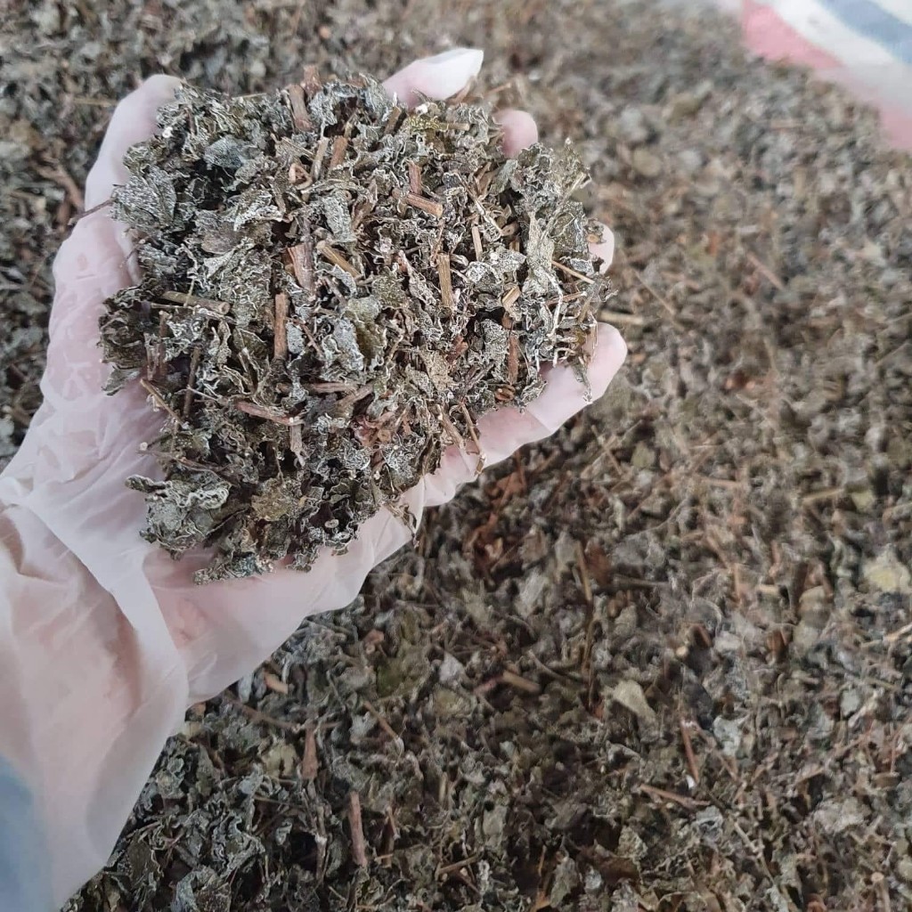 chè dây cao bằng khô