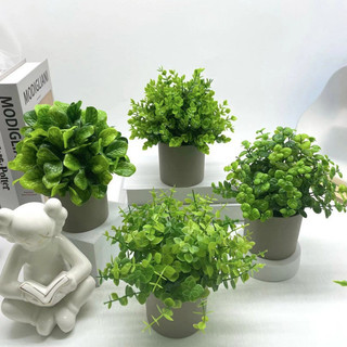 Cây Giả Trang Trí Kèm Chậu Để Bàn Cây Nhân Tạo Decor Phòng Ngủ Bàn Làm Việc Phụ Kiện Chụp Ảnh