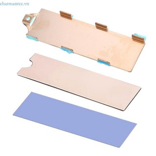 M.2 NVMe 2280 SSD Heatsink M.2 Copper NVMe Solid Hard Drive Heat Sink Coolers
