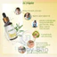 Tinh Dầu Tràm Gió 100% Nguyên Chất Dr.Papie Phòng Cảm Cúm, Cảm Lạnh, Giữ Ấm Cơ Thể Cho Bé Từ Sơ Sinh