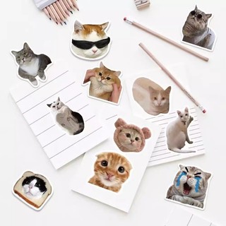 Bộ 50 Ngộ nghĩnh Mèo Meme Hoạt Hình Dán Kawaii Anime Chống Thấm Nước Vali Xe Đạp Đàn Guitar Notebook Đề Can Vui Vẻ Quà Tặng Cho Trẻ Em