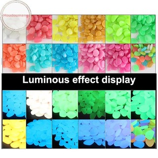 Hodou 10 Chiếc Nhiều Màu Sắc Dạ Quang Đá Phát Sáng Sao Biển Conch Hình Cho Cá Bàn Đi Bộ Vườn Bể Cá Trang Trí Hồ Bơi Cảnh Quan VN