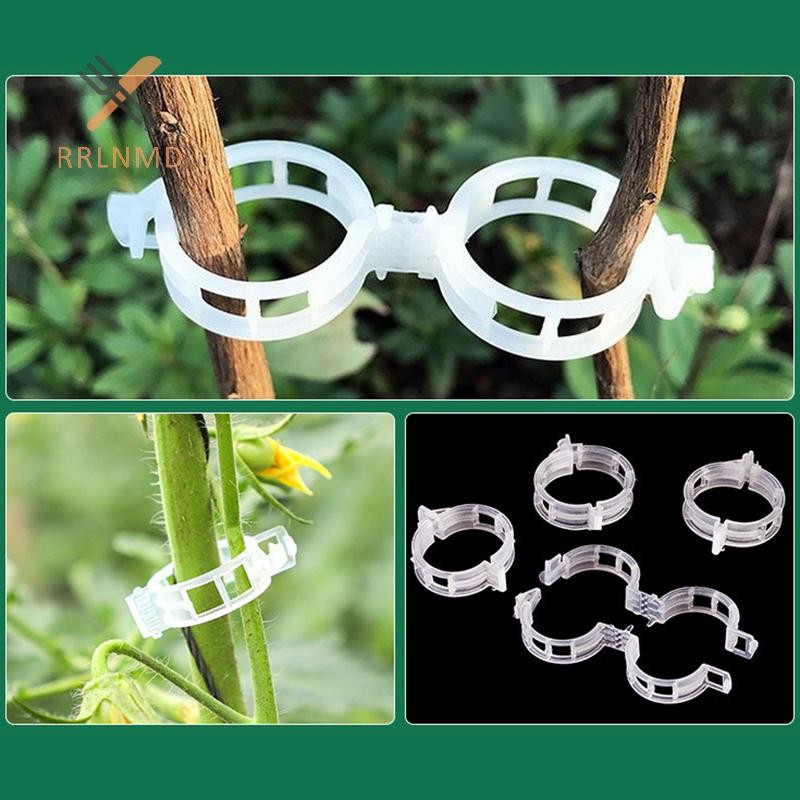 Rrlnmd 100 Chiếc Kẹp Cây Nhựa Cho Cây Leo Cây Trong Suốt Cố Định Kẹp Cà Chua Trellis Kẹp Vật Dụng Kẹp Cố Định Kẹp Vườn MỚI