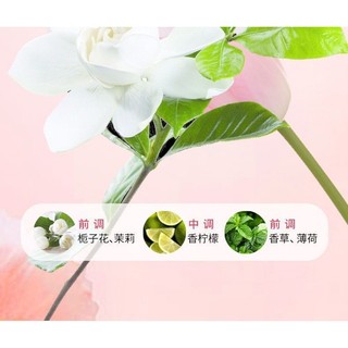Giặt là hạt ngưng tụ, giữ hương thơm lâu dài, quần áo bảo vệ mềm mại, khử trùng mạnh mẽ, khử trùng, mạt, bột giặt đậm đặc cao, bộ đồ gia dụng