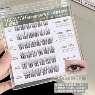 MR.WISH Lông Mi Giả Dòng Động Vật Hiện Đại Bé Thẳng