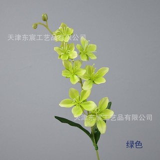 Cành hoa địa lan xinh xắn cao 70 cm,