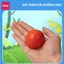 Đất Sét Tự Khô Deli- Đất Sét Mỹ Thuật Túi 250/500/1000g An Toàn Không Mùi Nặn Hình Mẫu Trang Trí