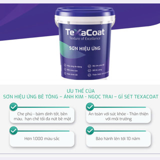 Sơn hiệu ứng bê tông Texacoat màu ghi XT-02 co giãn tốt, chống nứt chân chim, định mức 1kg/m2